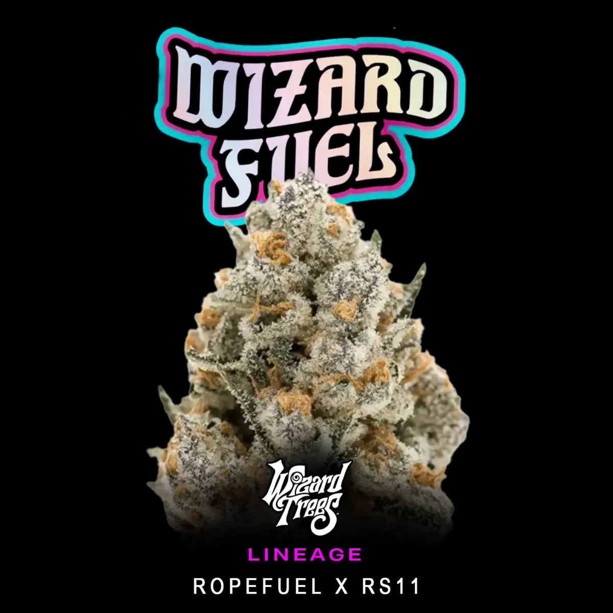 Wizard Fuel | Wizard Trees