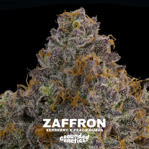 Zaffron | Grounded Genetics