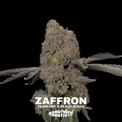 Zaffron | Grounded Genetics
