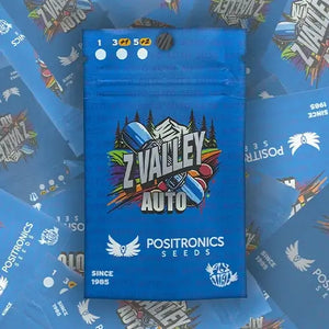 Z Valley Auto | Positronics Seeds